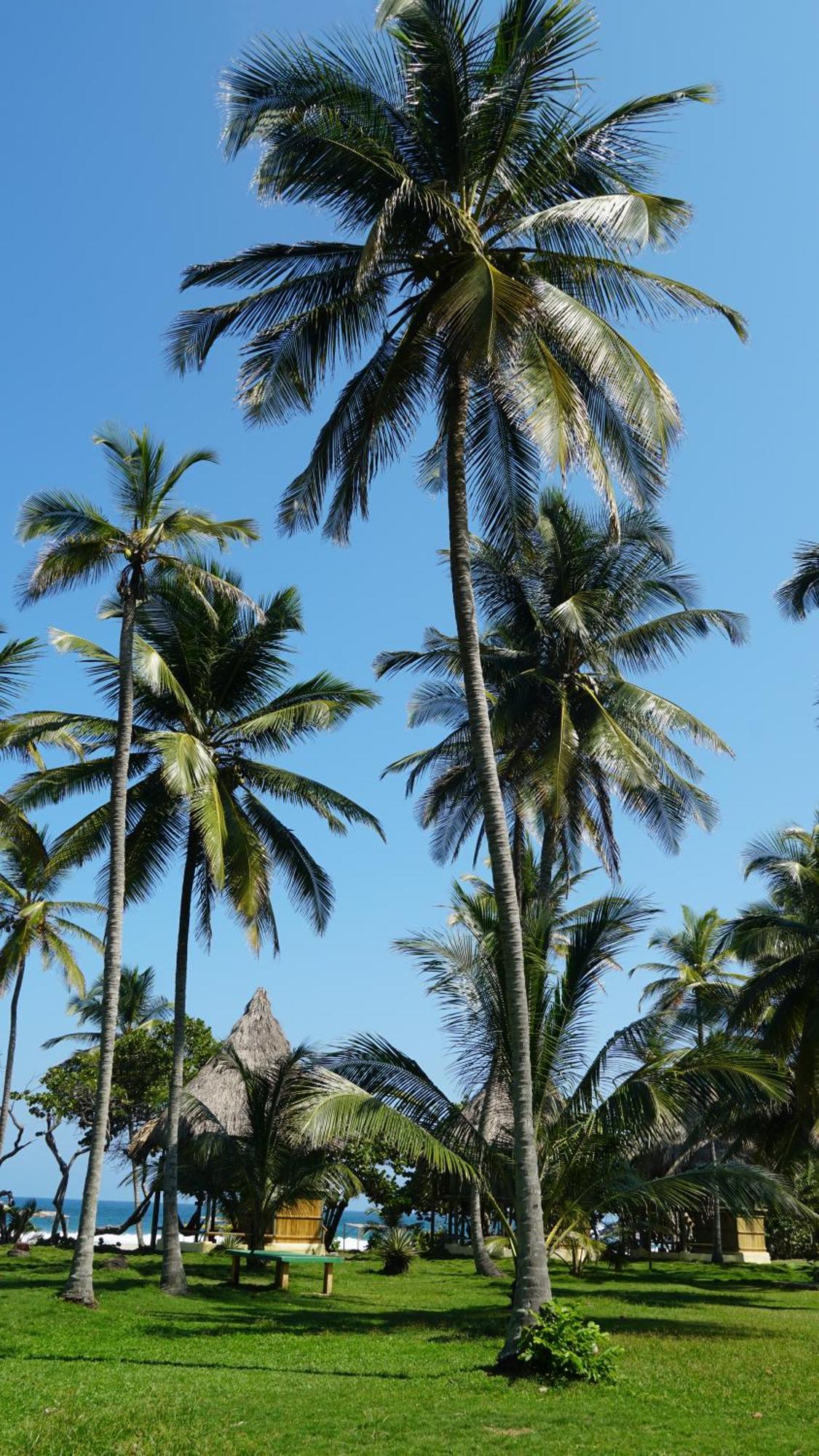 Ecolodge Playa Brava Teyumakke Calabazo  Екстер'єр фото